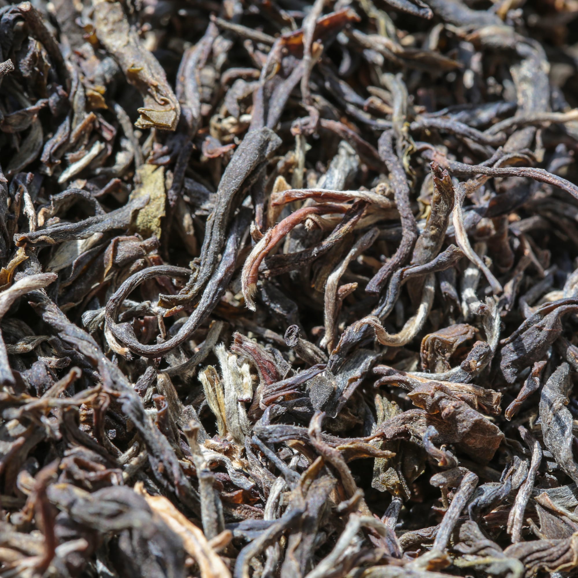 Nahaufnahme von losem, getrocknetem Tee mit hell- und dunkelbraunen Blättern und gedrehten Strukturen.