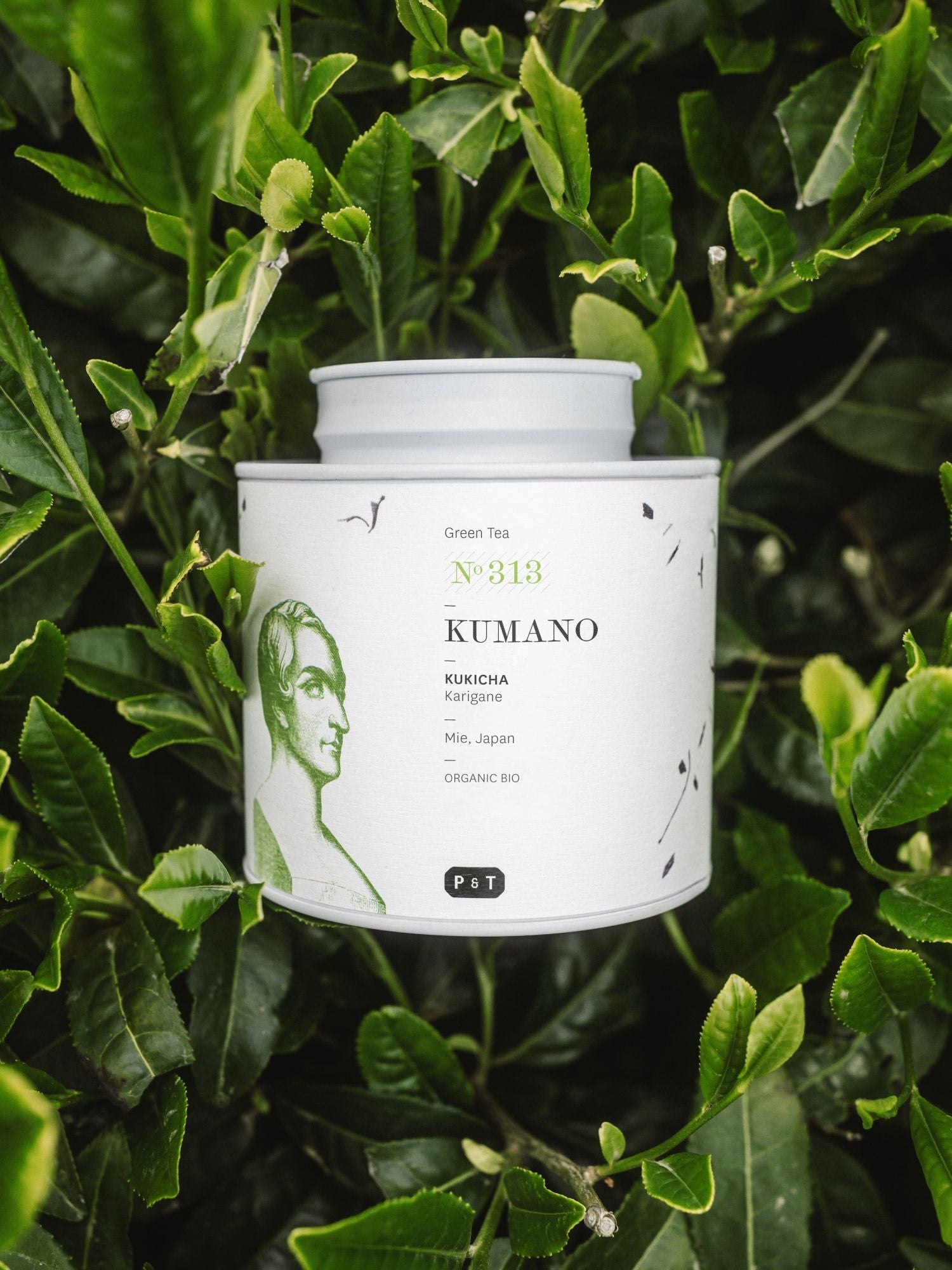 Weißer zylindrischer Teebehälter mit grünem Porträt und schwarzem Text 'KUMANO KUKICHA Karigane Green Tea', umgeben von frischen Teeblättern.