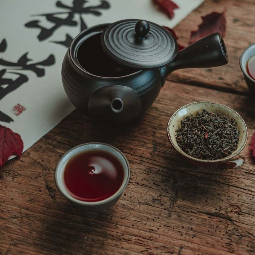 Teapot with Strainer Kyoto Kyusu