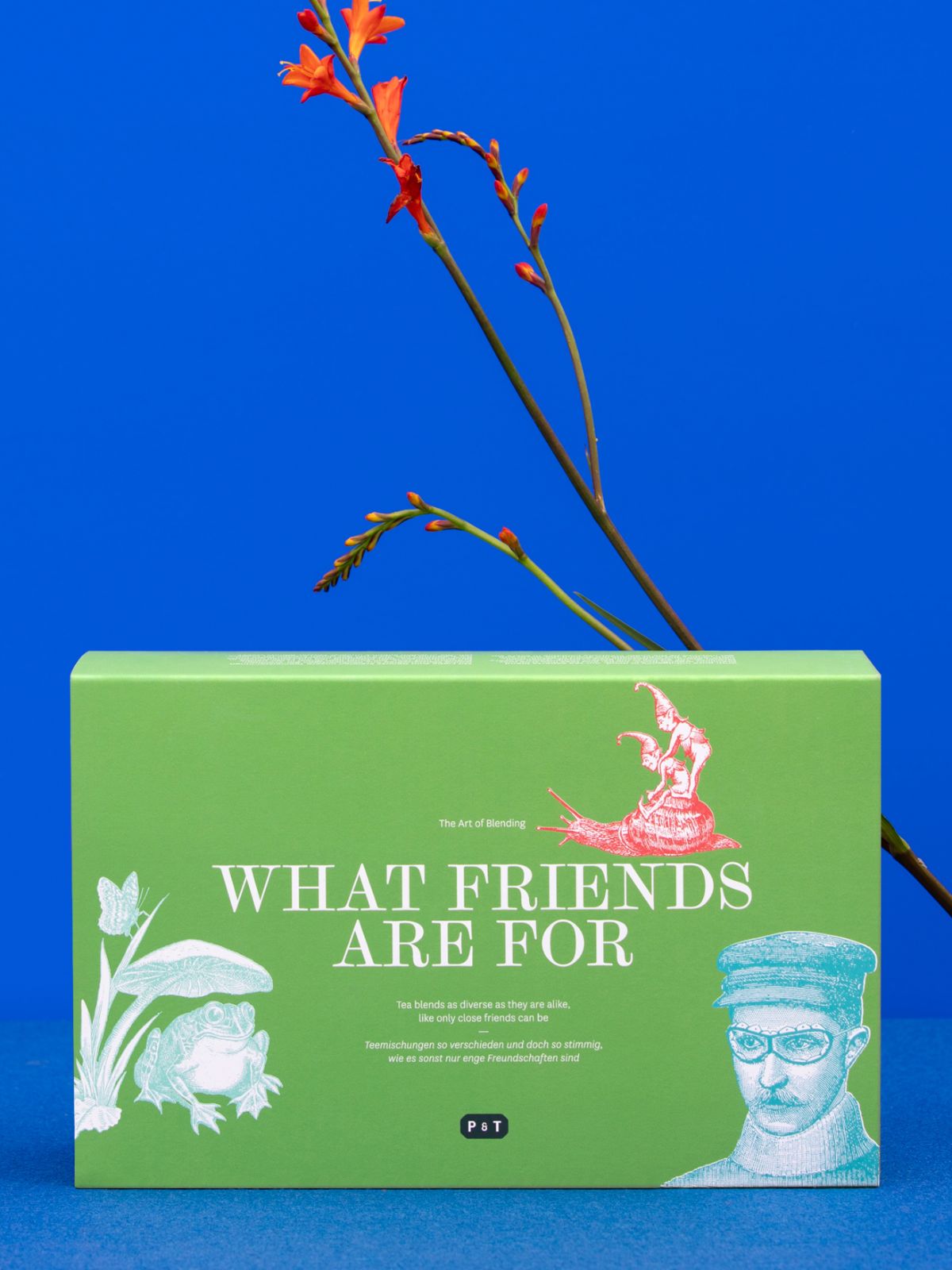 Tea Gift Set What Friends Are For Set